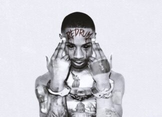 Can Polo Da A Baby Become a More Prominent Artist? Antonio Raekwon Tyson