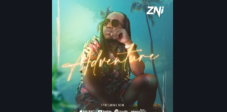 ZNI Music