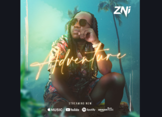 ZNi: Blending Pop and Afro Beats for a Captivating Musical Fusion ZNI Music