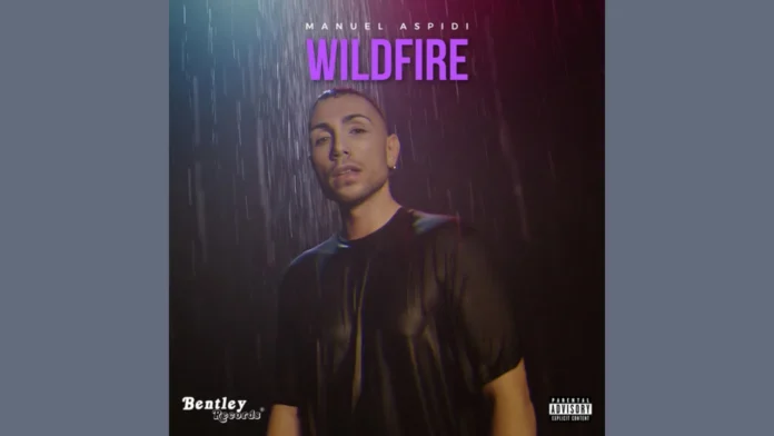 Wildfire